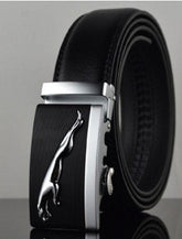 Belts - Elevation Belt - Radiant - AEVEAx